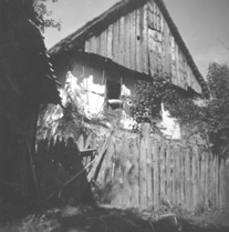 eika image